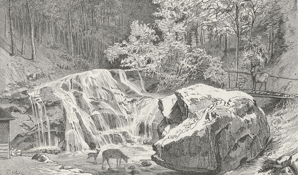 ZURICH. Wildpark Langnau. Weber 1879 old antique vintage print picture